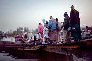 New Scientist. Science news and long reads from expert journalists, covering developments in science, technology, health and the environment on the website and the magazine.