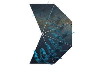 Gravity's secret: How relativity meets quantum physics