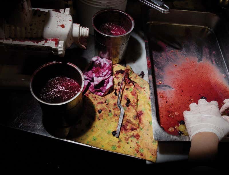 New Scientist. Science news and long reads from expert journalists, covering developments in science, technology, health and the environment on the website and the magazine.