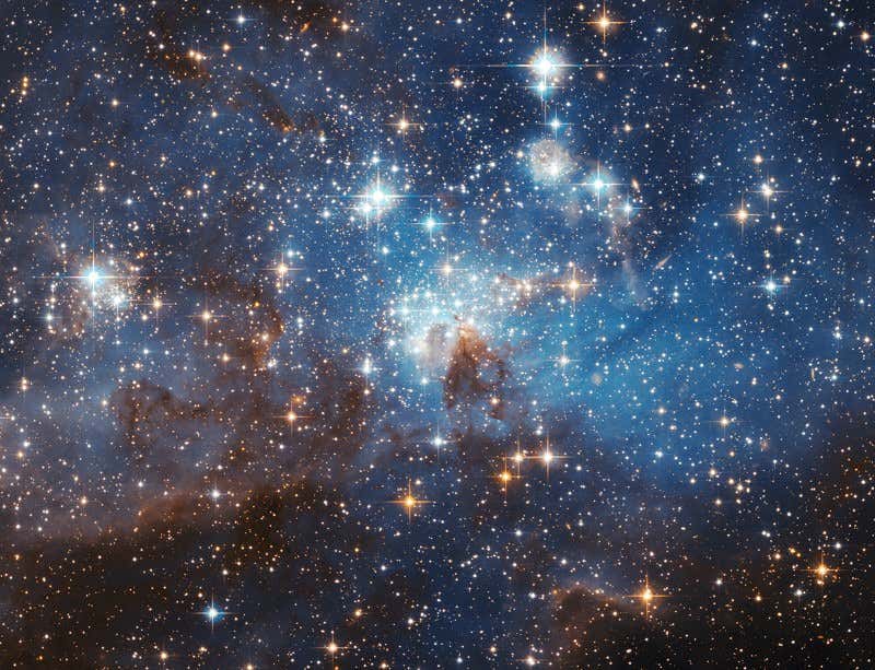 New Scientist. Science news and long reads from expert journalists, covering developments in science, technology, health and the environment on the website and the magazine.