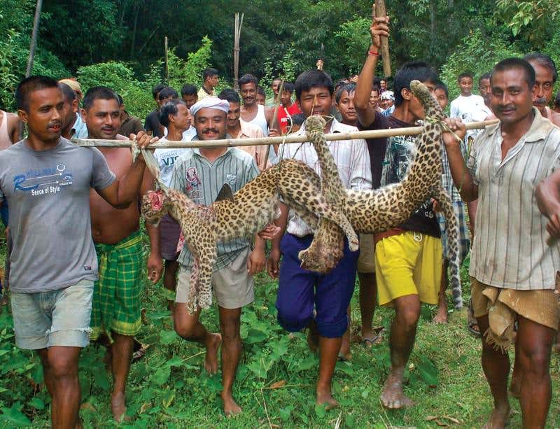 New Scientist. Science news and long reads from expert journalists, covering developments in science, technology, health and the environment on the website and the magazine.