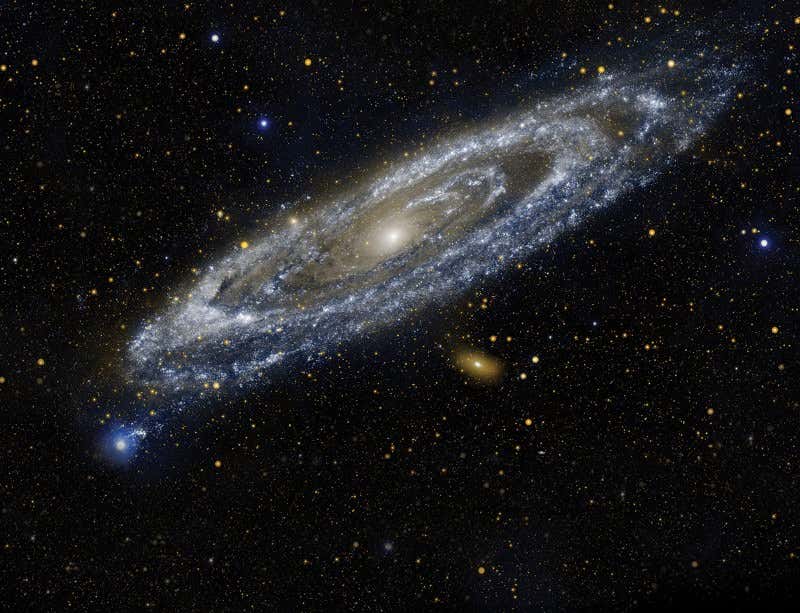 New Scientist. Science news and long reads from expert journalists, covering developments in science, technology, health and the environment on the website and the magazine.