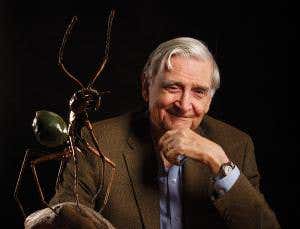 E. O. Wilson: Religious faith is dragging us down