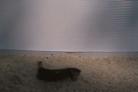 New Scientist. Science news and long reads from expert journalists, covering developments in science, technology, health and the environment on the website and the magazine.