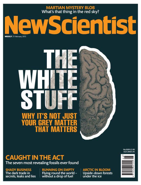 New Scientist issue 3009 cover