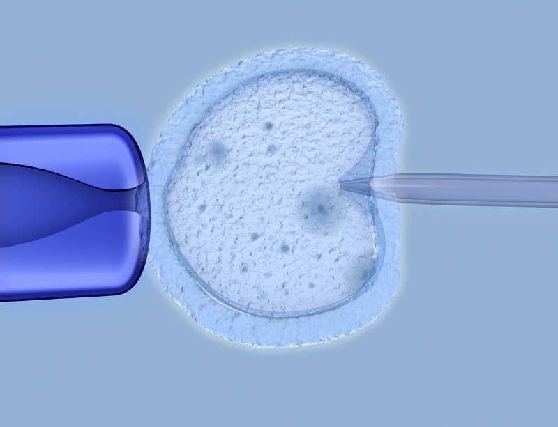 New Scientist. Science news and long reads from expert journalists, covering developments in science, technology, health and the environment on the website and the magazine.