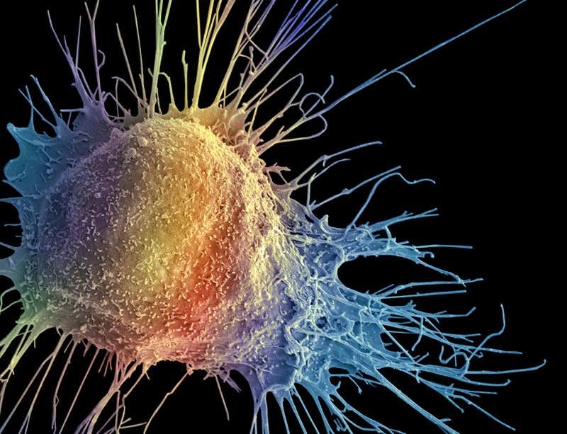 New Scientist. Science news and long reads from expert journalists, covering developments in science, technology, health and the environment on the website and the magazine.