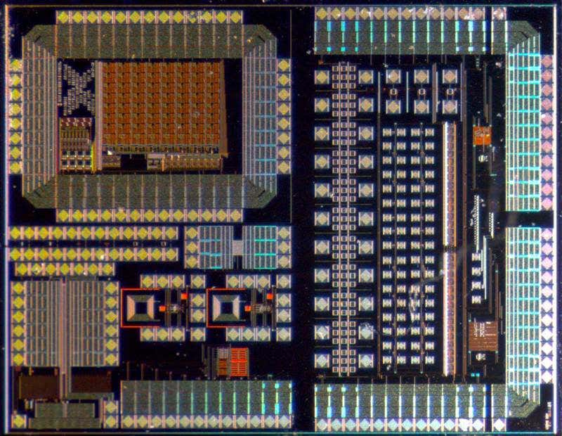 Life-changing implants reveal intricacy on a chip