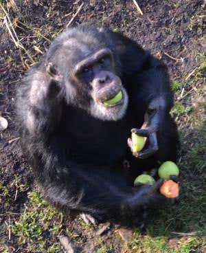 New Scientist. Science news and long reads from expert journalists, covering developments in science, technology, health and the environment on the website and the magazine.