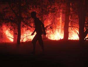 Rise in wildfires may resurrect Chernobyl's radiation