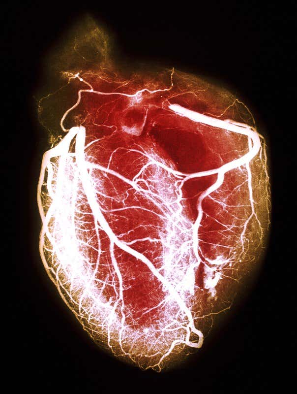 New Scientist. Science news and long reads from expert journalists, covering developments in science, technology, health and the environment on the website and the magazine.