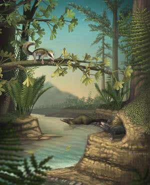 Jurassic fossils reveal varied life of early mammals