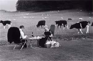 Art, elections and mad cow disease