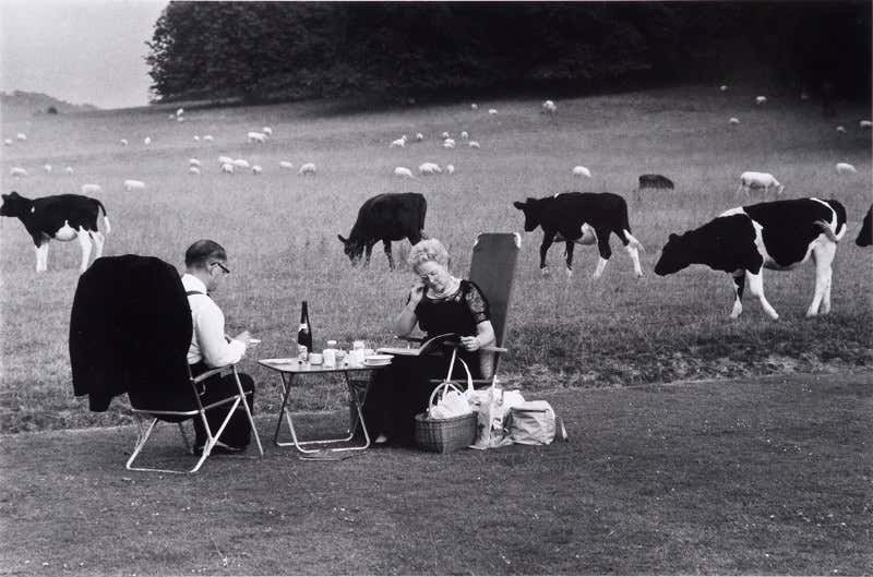 New Scientist. Science news and long reads from expert journalists, covering developments in science, technology, health and the environment on the website and the magazine.