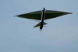 Robo-raven morphs its wings to back flip in mid-air