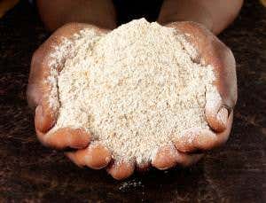 Britons may have imported wheat long before farming it