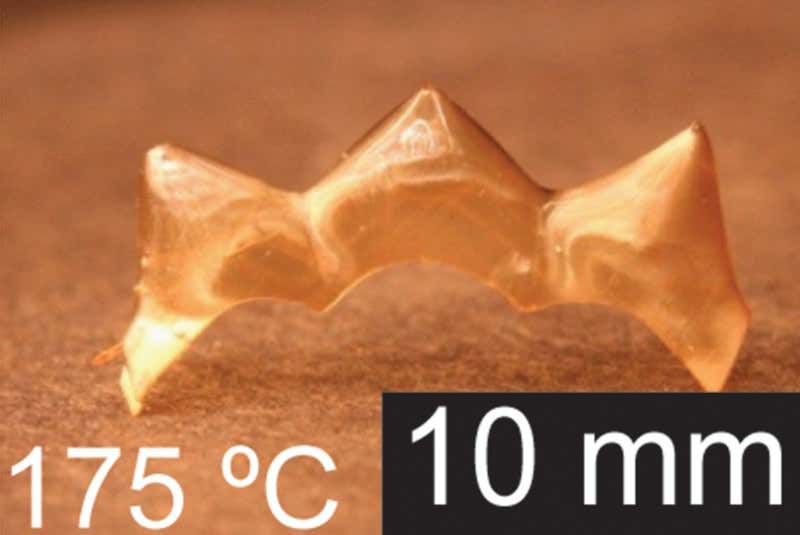 New Scientist. Science news and long reads from expert journalists, covering developments in science, technology, health and the environment on the website and the magazine.