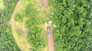 Drone buzzes South America's first wildlife bridge