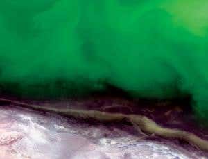 Monstrous algal bloom erupts in world's largest lake