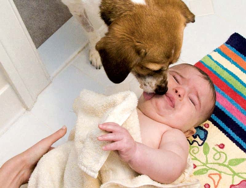 New Scientist. Science news and long reads from expert journalists, covering developments in science, technology, health and the environment on the website and the magazine.