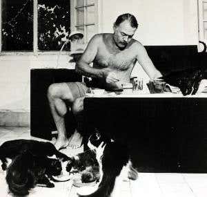 An encyclopaedic guide to the dark genome