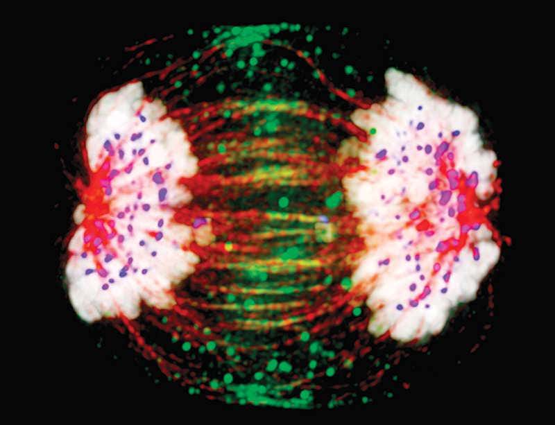 An encyclopaedic guide to the dark genome