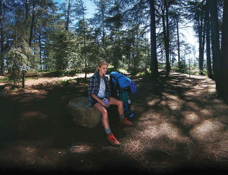 New Scientist. Science news and long reads from expert journalists, covering developments in science, technology, health and the environment on the website and the magazine.