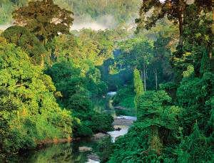 We've got the evolution of complex cells inside-out