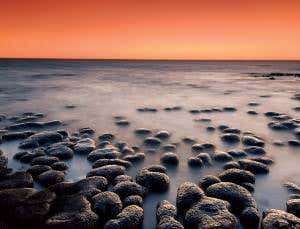 <i>A New History of Life</i> shows we're not extinction-proof