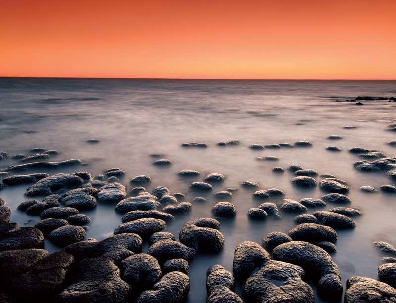 New Scientist. Science news and long reads from expert journalists, covering developments in science, technology, health and the environment on the website and the magazine.