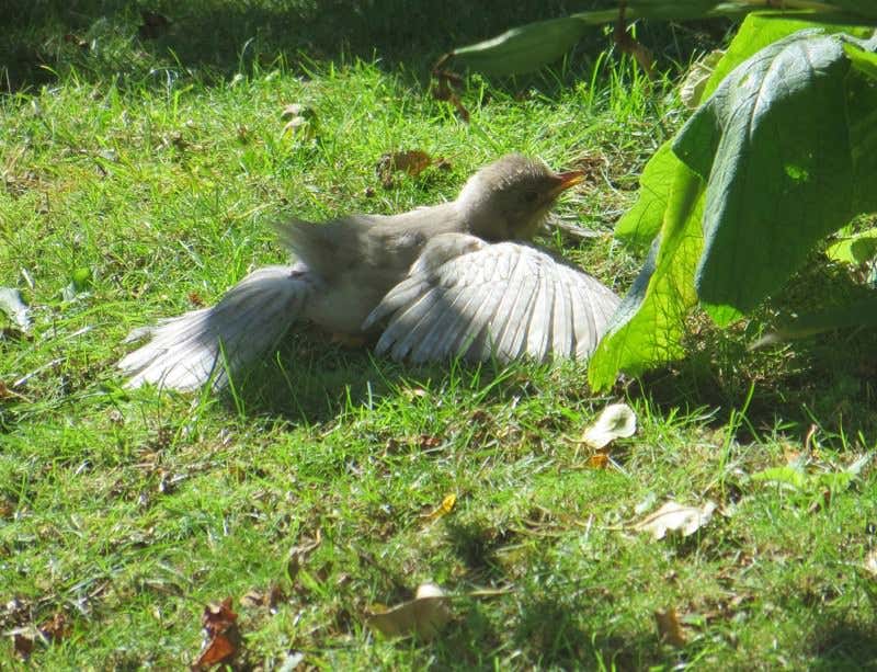 New Scientist. Science news and long reads from expert journalists, covering developments in science, technology, health and the environment on the website and the magazine.