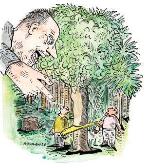 To save the rainforest, let the locals take control