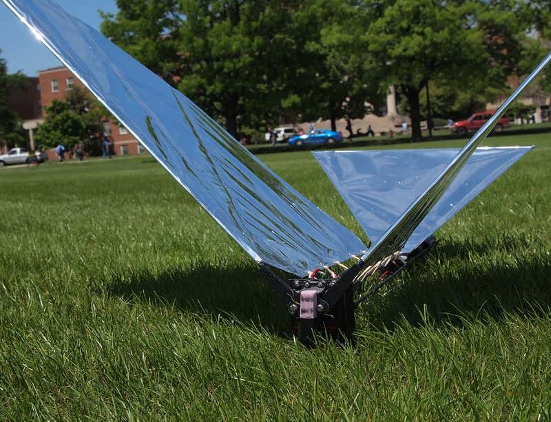 New Scientist. Science news and long reads from expert journalists, covering developments in science, technology, health and the environment on the website and the magazine.