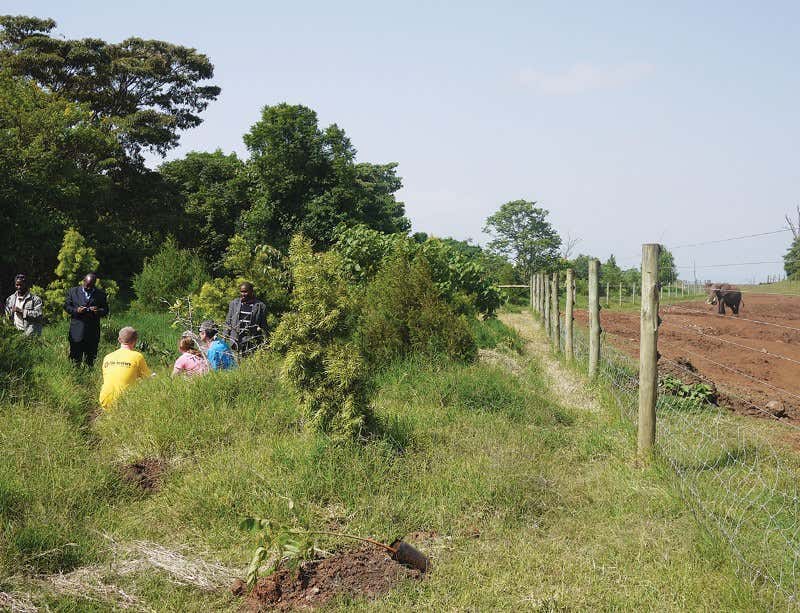 New Scientist. Science news and long reads from expert journalists, covering developments in science, technology, health and the environment on the website and the magazine.