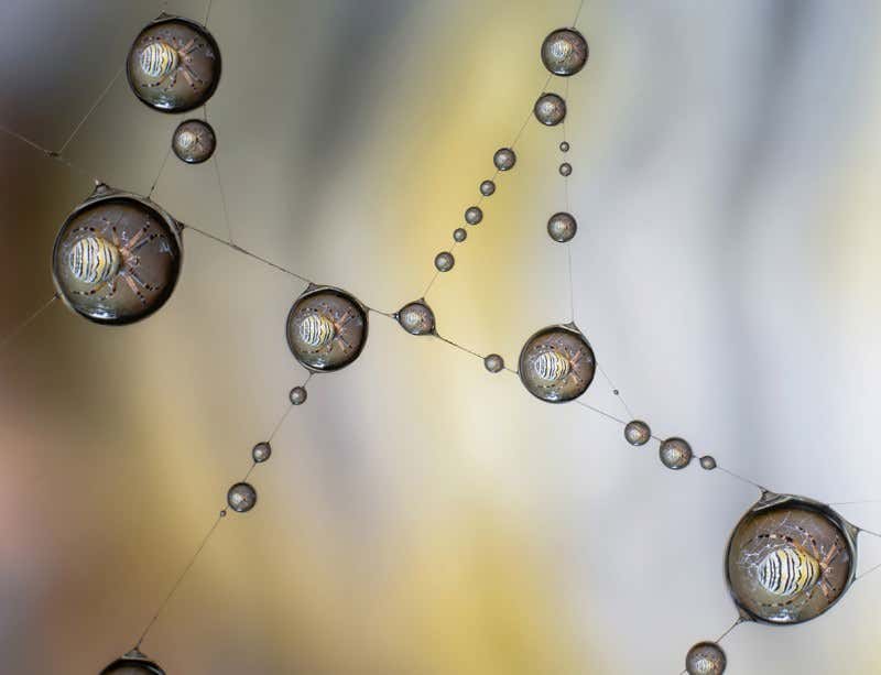 New Scientist. Science news and long reads from expert journalists, covering developments in science, technology, health and the environment on the website and the magazine.