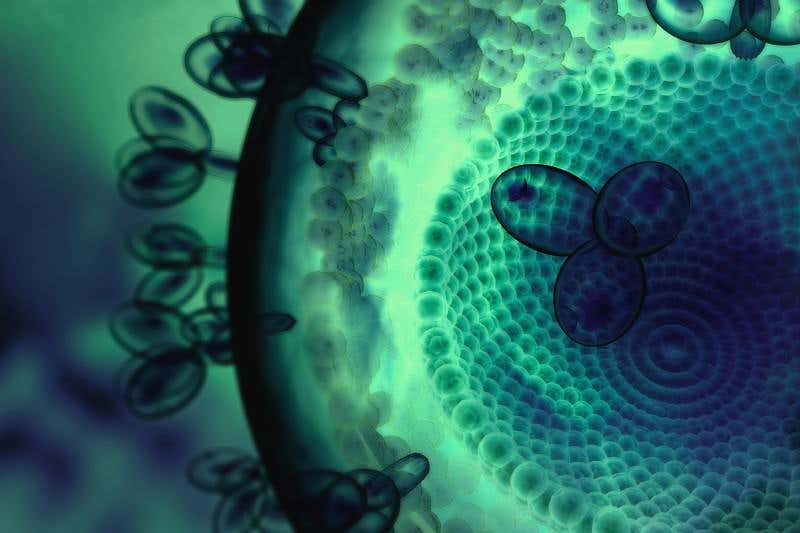 New Scientist. Science news and long reads from expert journalists, covering developments in science, technology, health and the environment on the website and the magazine.