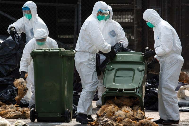 New Scientist. Science news and long reads from expert journalists, covering developments in science, technology, health and the environment on the website and the magazine.