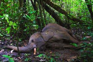 Rich nations are laying road to ecological Armageddon