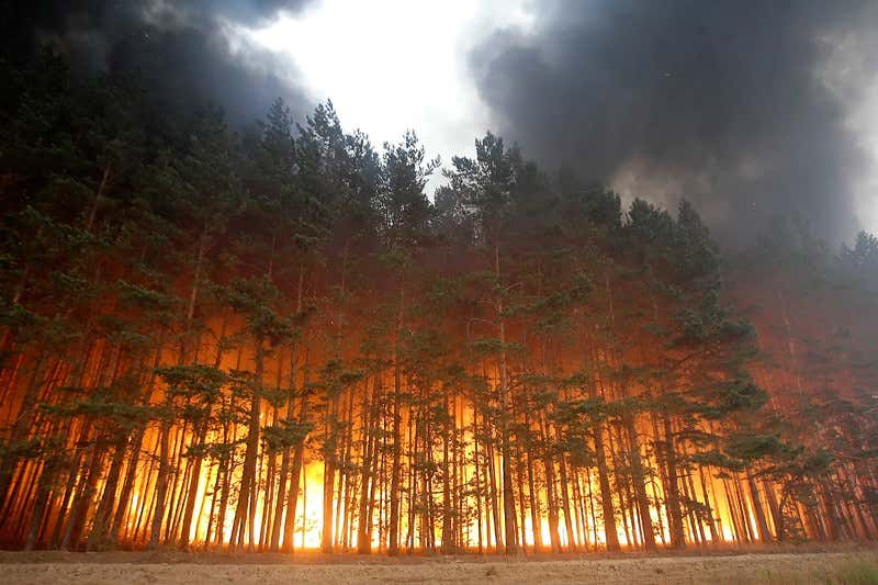 New Scientist. Science news and long reads from expert journalists, covering developments in science, technology, health and the environment on the website and the magazine.