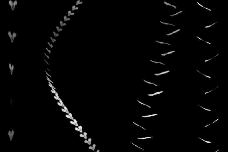 New Scientist. Science news and long reads from expert journalists, covering developments in science, technology, health and the environment on the website and the magazine.