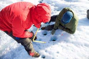 Icy pools are oases for unique glacier ecosystems