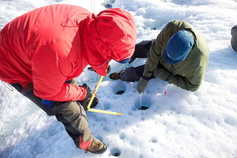 New Scientist. Science news and long reads from expert journalists, covering developments in science, technology, health and the environment on the website and the magazine.