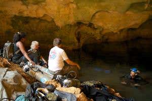 Large cache of giant lemur bones found in flooded cave