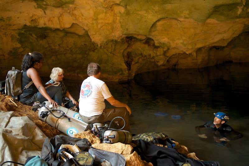 New Scientist. Science news and long reads from expert journalists, covering developments in science, technology, health and the environment on the website and the magazine.