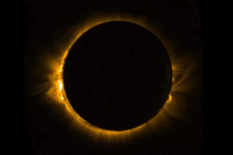 New Scientist. Science news and long reads from expert journalists, covering developments in science, technology, health and the environment on the website and the magazine.