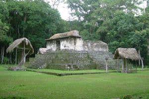 Jungle festivals led to first Maya cities