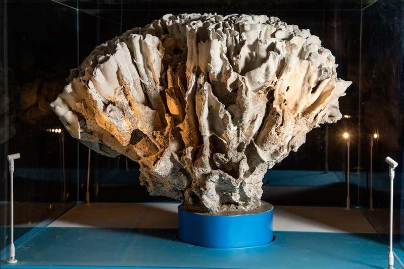 New Scientist. Science news and long reads from expert journalists, covering developments in science, technology, health and the environment on the website and the magazine.