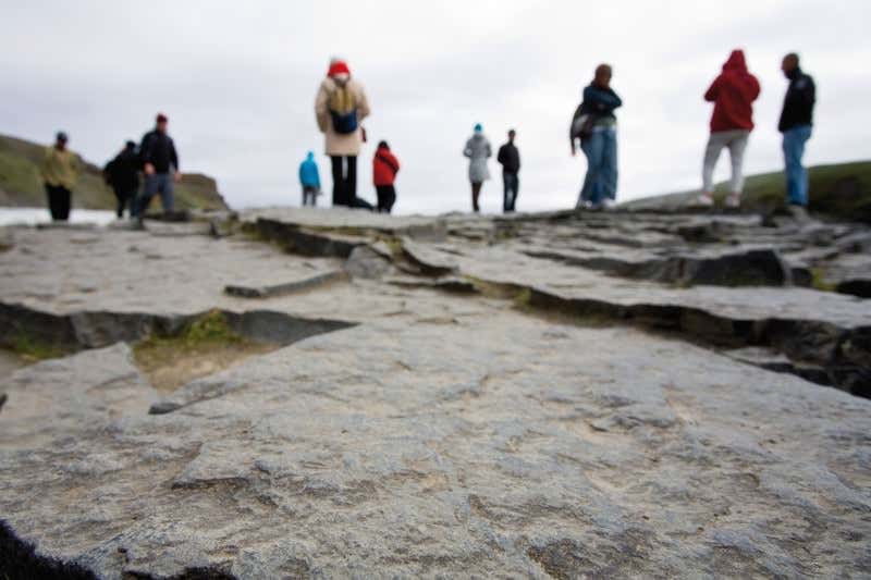 New Scientist. Science news and long reads from expert journalists, covering developments in science, technology, health and the environment on the website and the magazine.