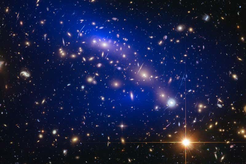 New Scientist. Science news and long reads from expert journalists, covering developments in science, technology, health and the environment on the website and the magazine.