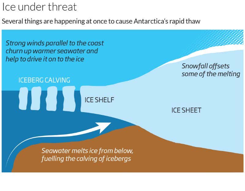 Major Antarctic ice survey reveals dramatic melting